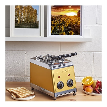 Tosti apparaat 2-tangen